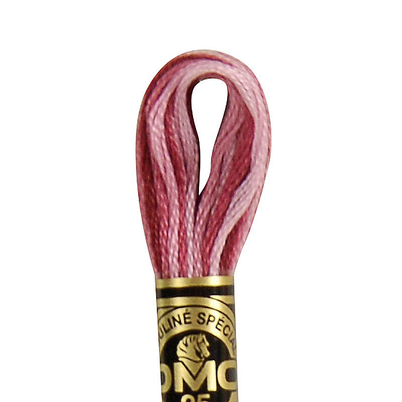 DMC Variegated Embroidery Floss