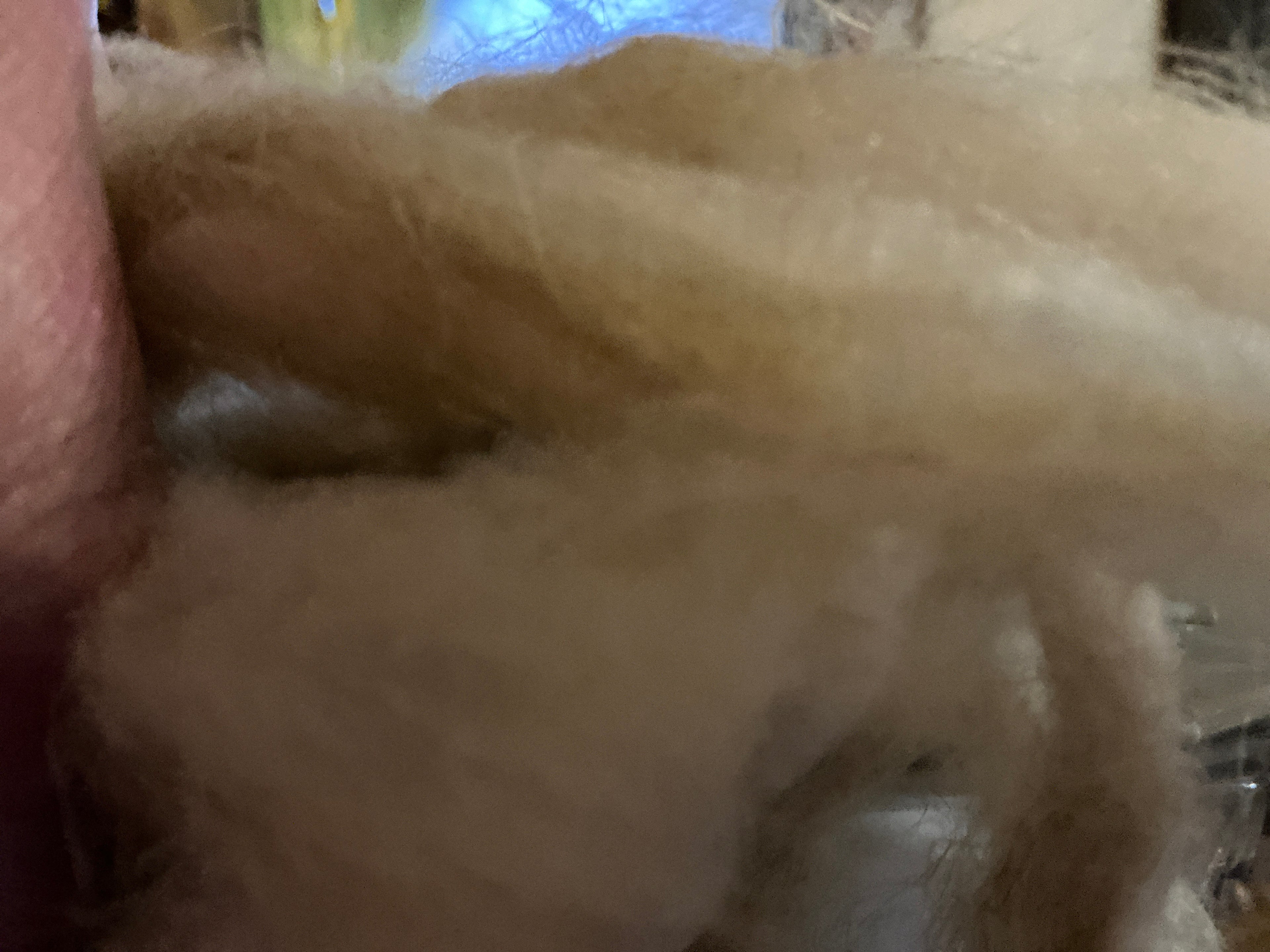 1oz Linen Silk 50-50 Fiber