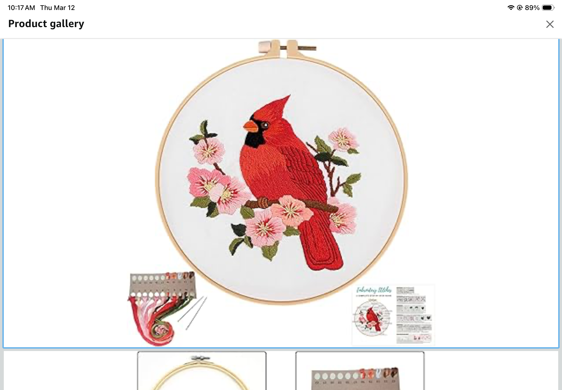 Cardinal Embroidery Kit