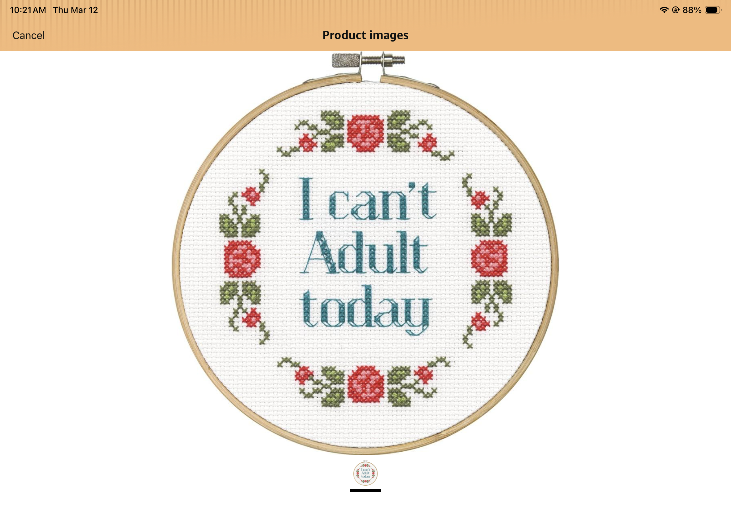 Dimensions Can’t Adult Today Cross Stitch Kit