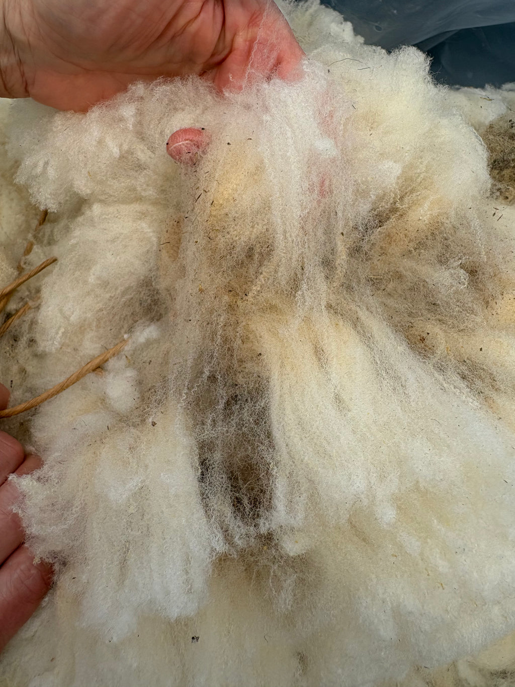 Spring Clean Fleece Bundle - Go Big or Go Home
