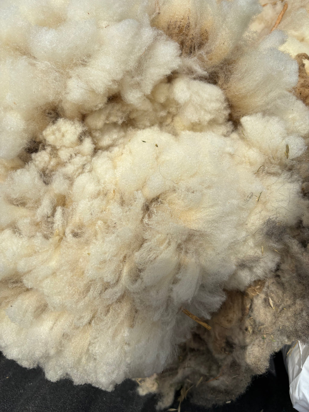 Spring Clean Fleece Bundle - Go Big or Go Home
