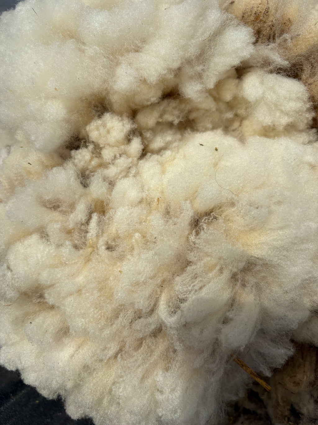 Spring Cleaning Fleece Sale - Try Something New! Bundle