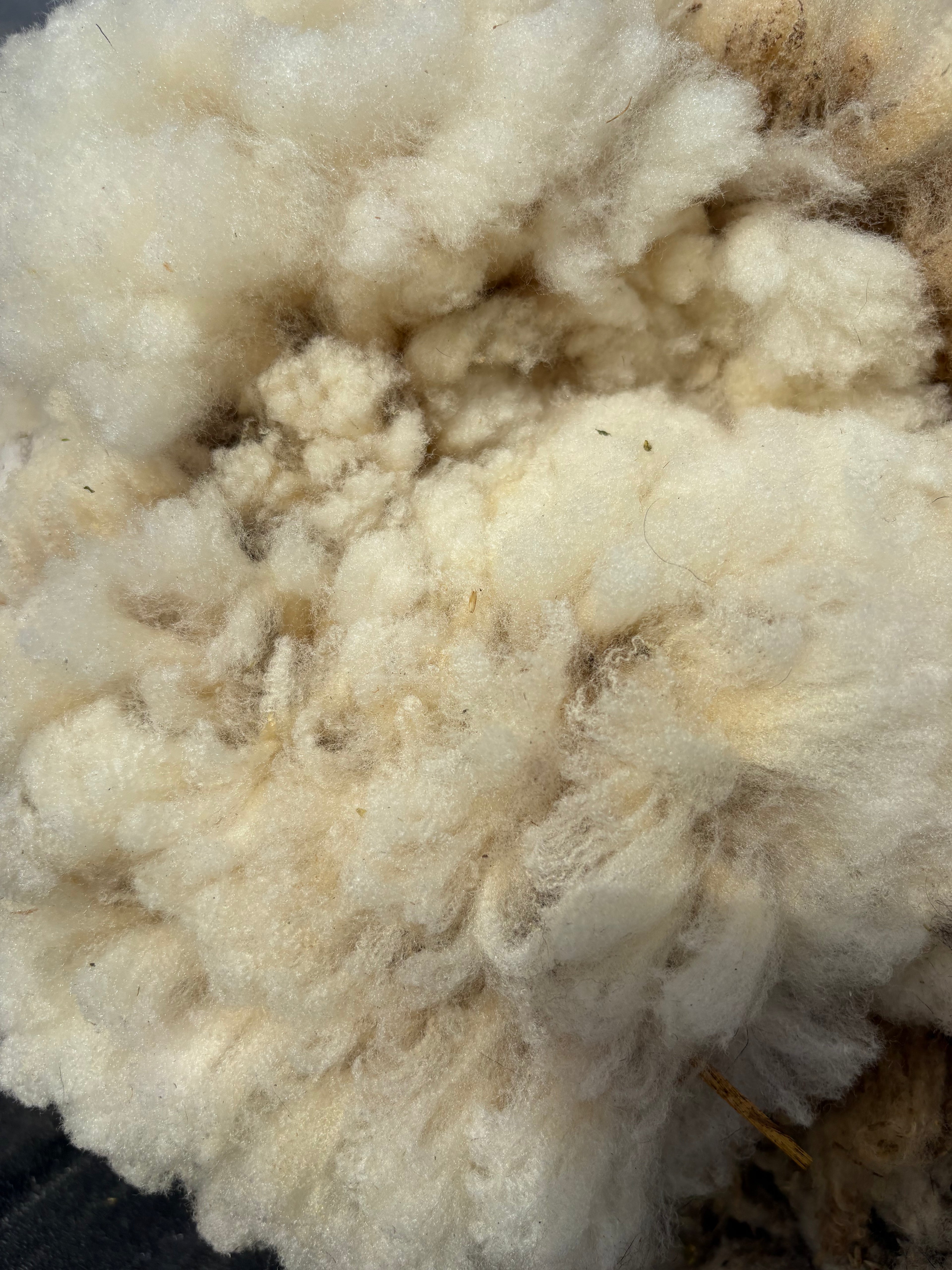 Spring Cleaning Fleece Sale - Try Something New! Bundle
